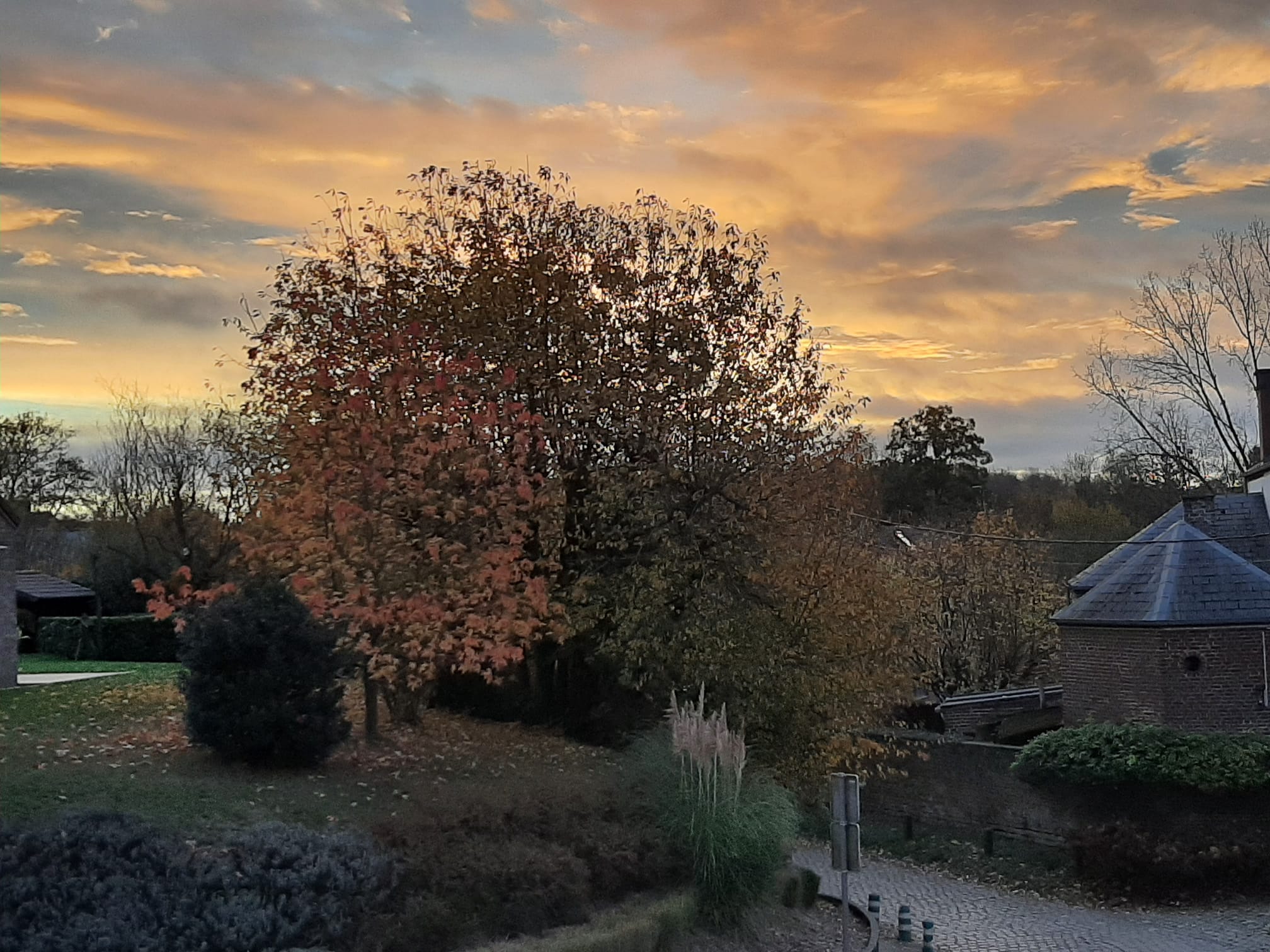 Photo-News-novembre-2025